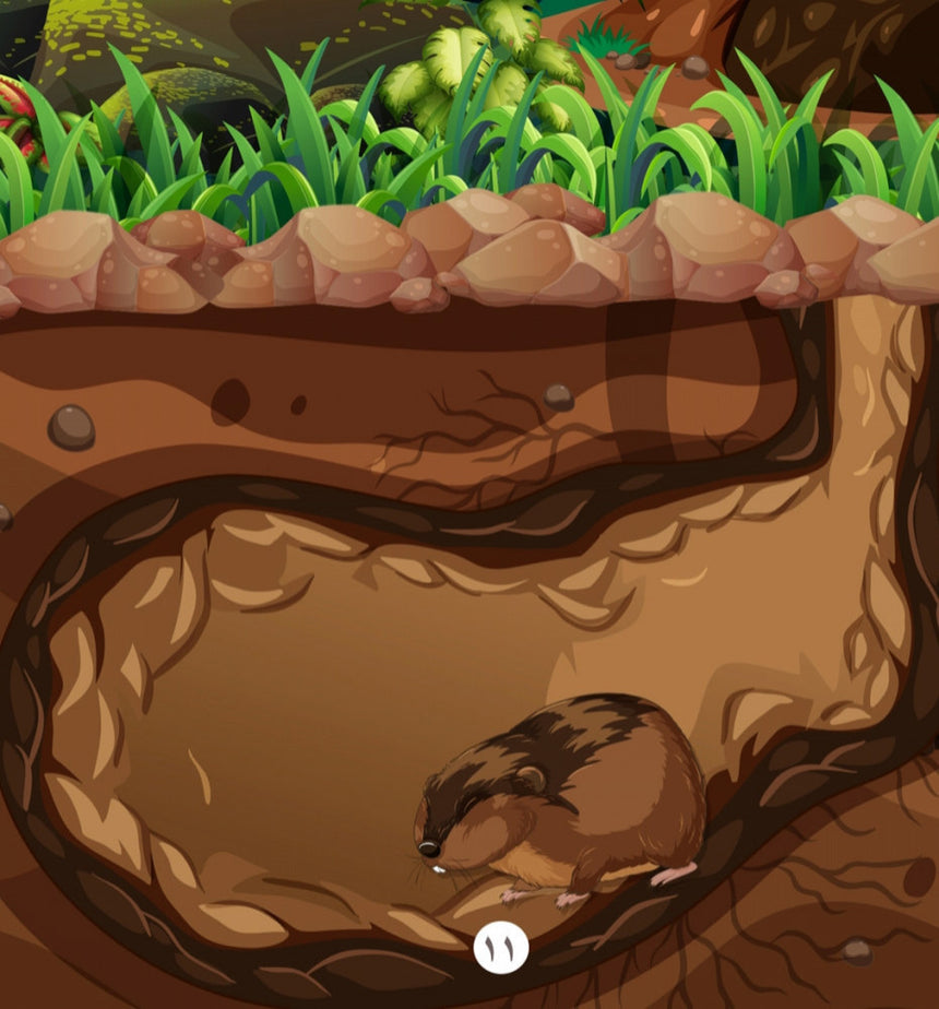 لكن الله يراني