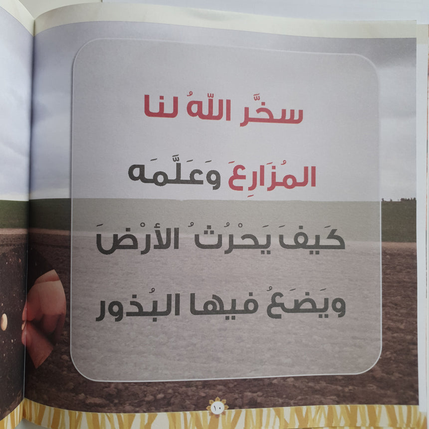 كتاب "قصة الخبز"